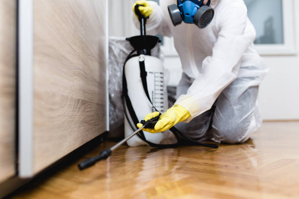 Professional Pest Control in Ruhenstroth, NV