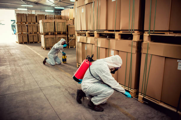Best Pest Control Treatment  in Ruhenstroth, NV
