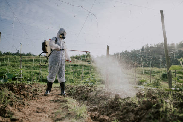 Best Best Pest Control Companies  in Ruhenstroth, NV