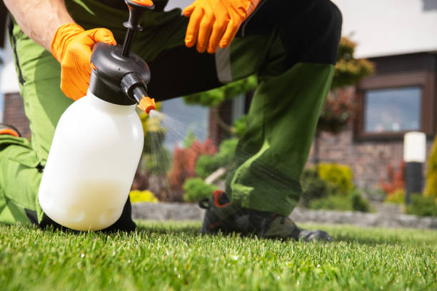 Best Wasp Removal Services  in Ruhenstroth, NV
