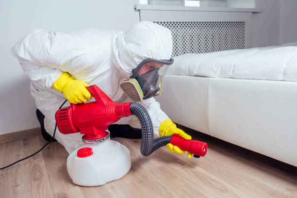 Best Residential Pest Control  in Ruhenstroth, NV