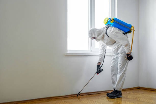 Best Pest Removal Services  in Ruhenstroth, NV