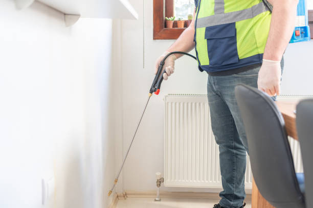 Best Mosquito Control Services  in Ruhenstroth, NV