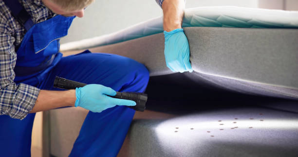 Best Best Pest Control Near Me  in Ruhenstroth, NV