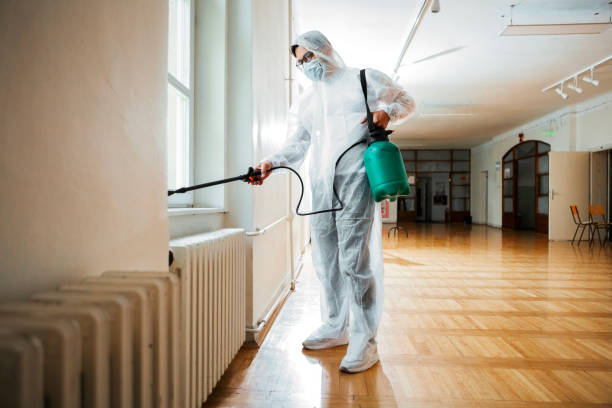 Best Pest Control Near Me in Ruhenstroth, NV