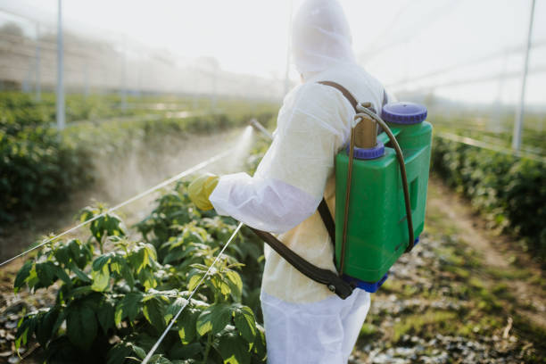 Best Pest Prevention Services  in Ruhenstroth, NV